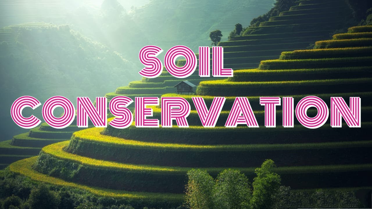 Methods of Soil Conservation (Terrace Farming and Contour Ploughing)