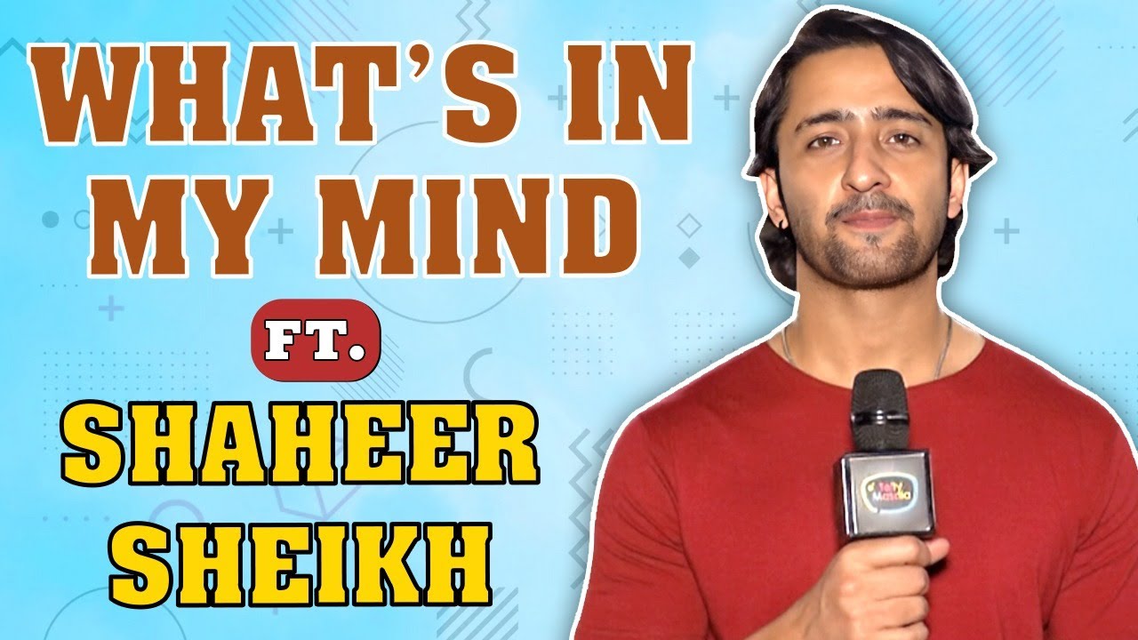 I Wouldn't Care... Shaheer Sheikh Reveals What's In His Mind With Telly Masala | Exclusive