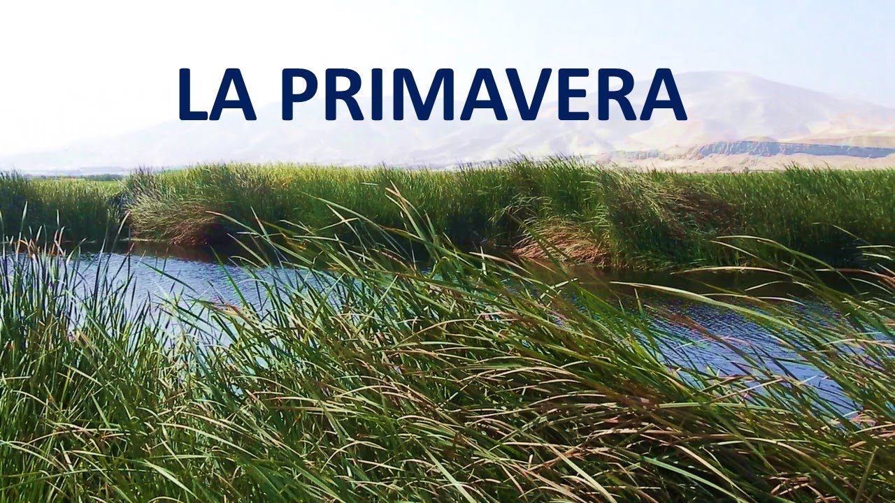 poesia a la  primavera - (poesia para recitar a la primavera).