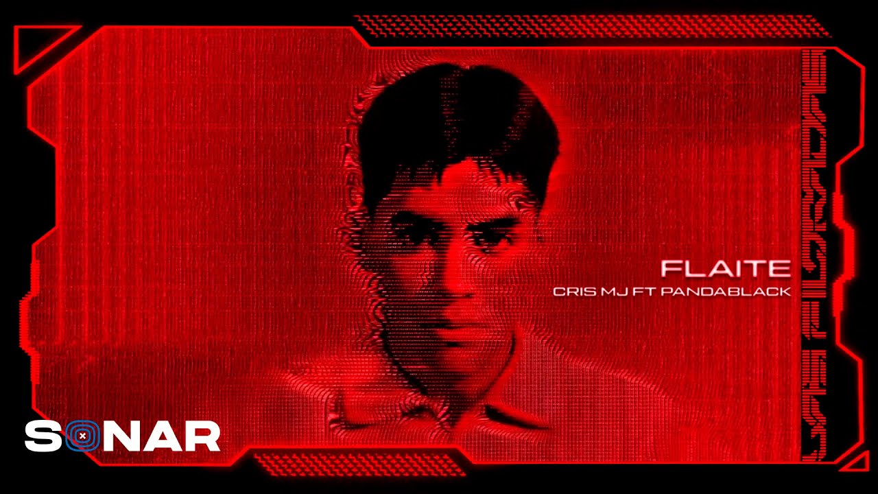 Cris MJ, Panda Black - Flaite (Visualizer) | Las Filtradas