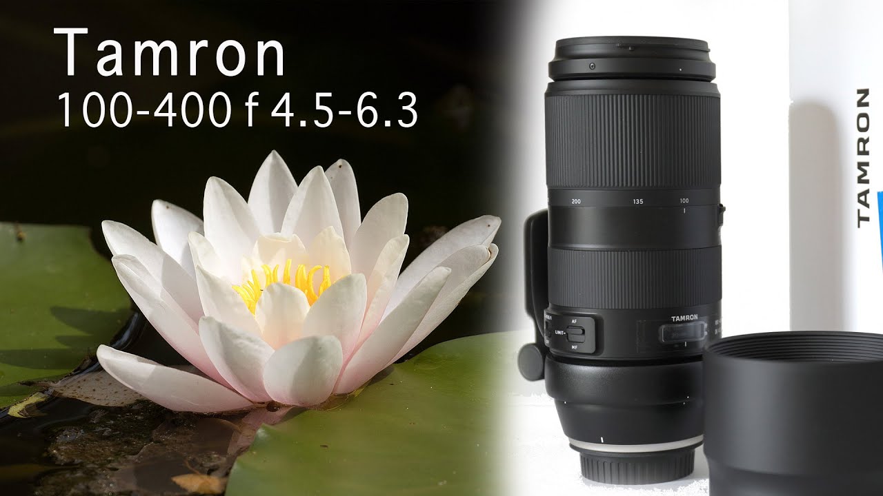 Tamron zoom 100-400mm f4.5-6,3 Di VS USD test completo