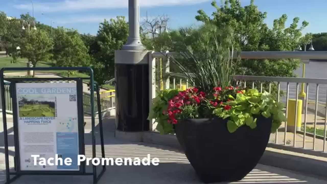 This is Winnipeg