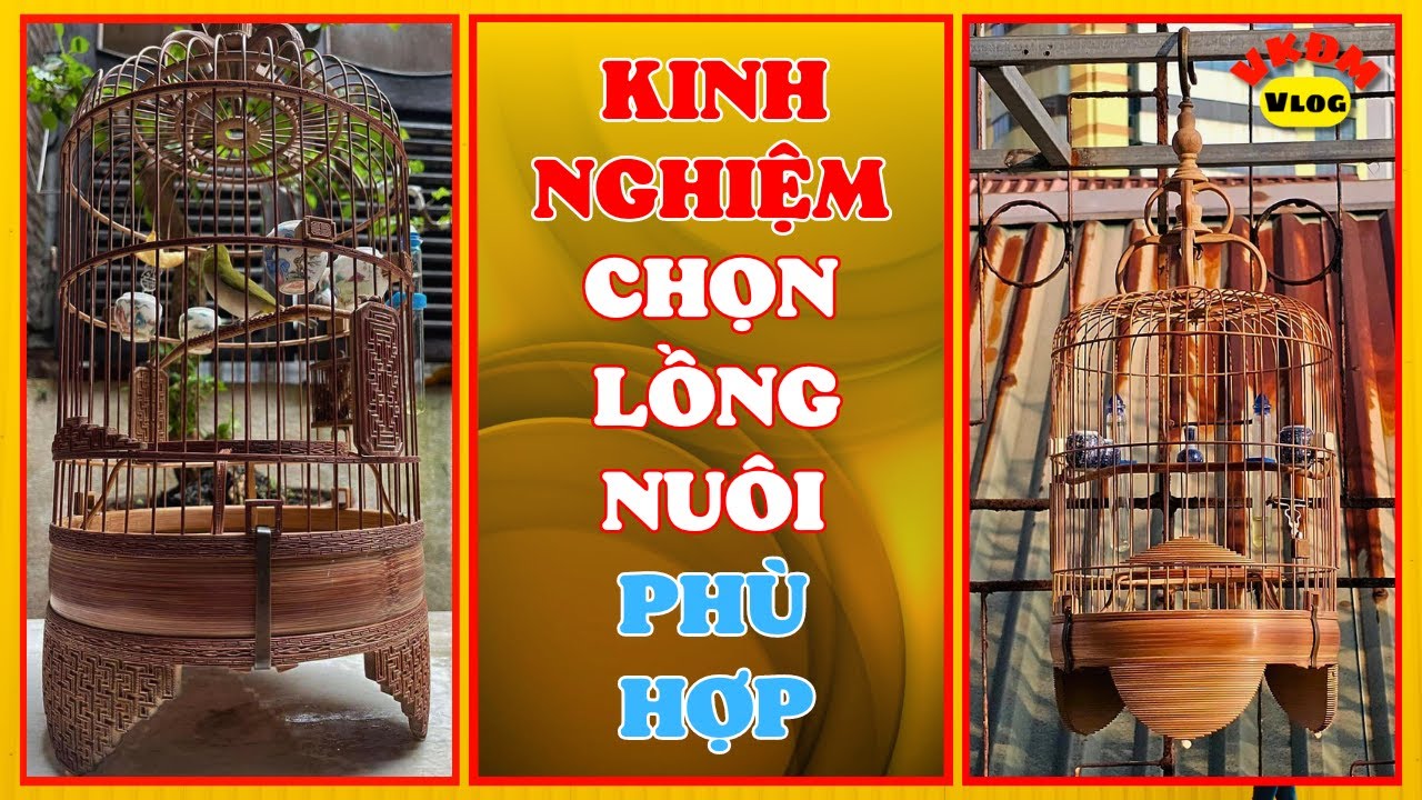 Kinh nghiệm chọn lồng nuôi phù hợp | VKĐM