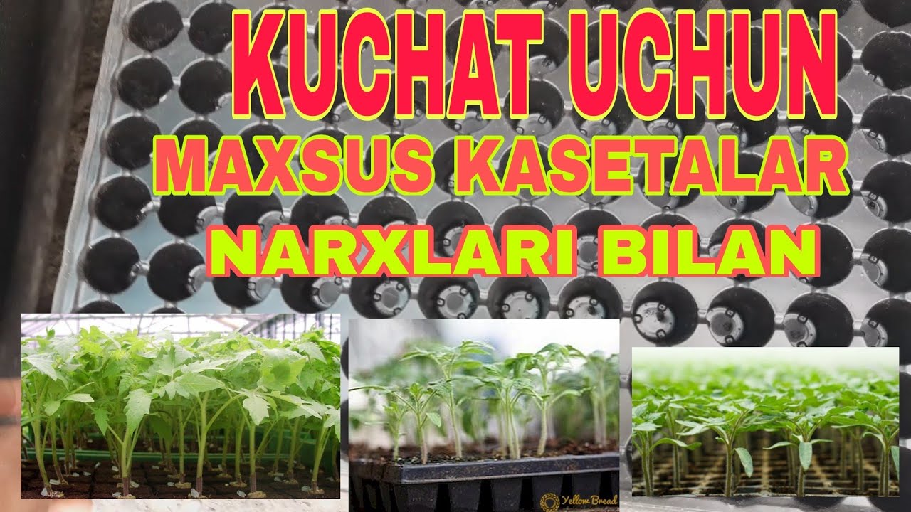 #DEXQONLAR #UCHUN #MAXSUS #VIDYO #KUCHATLAR #UCHUN #KASETALAR .#pamildori #ekish #uchun #kasetakuch