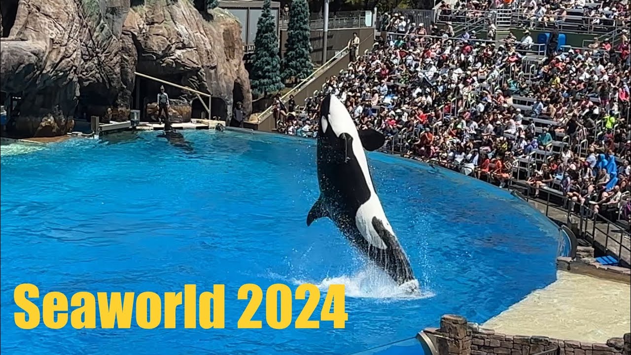 Seaworld 2024 | San Diego CA | Summer 2024