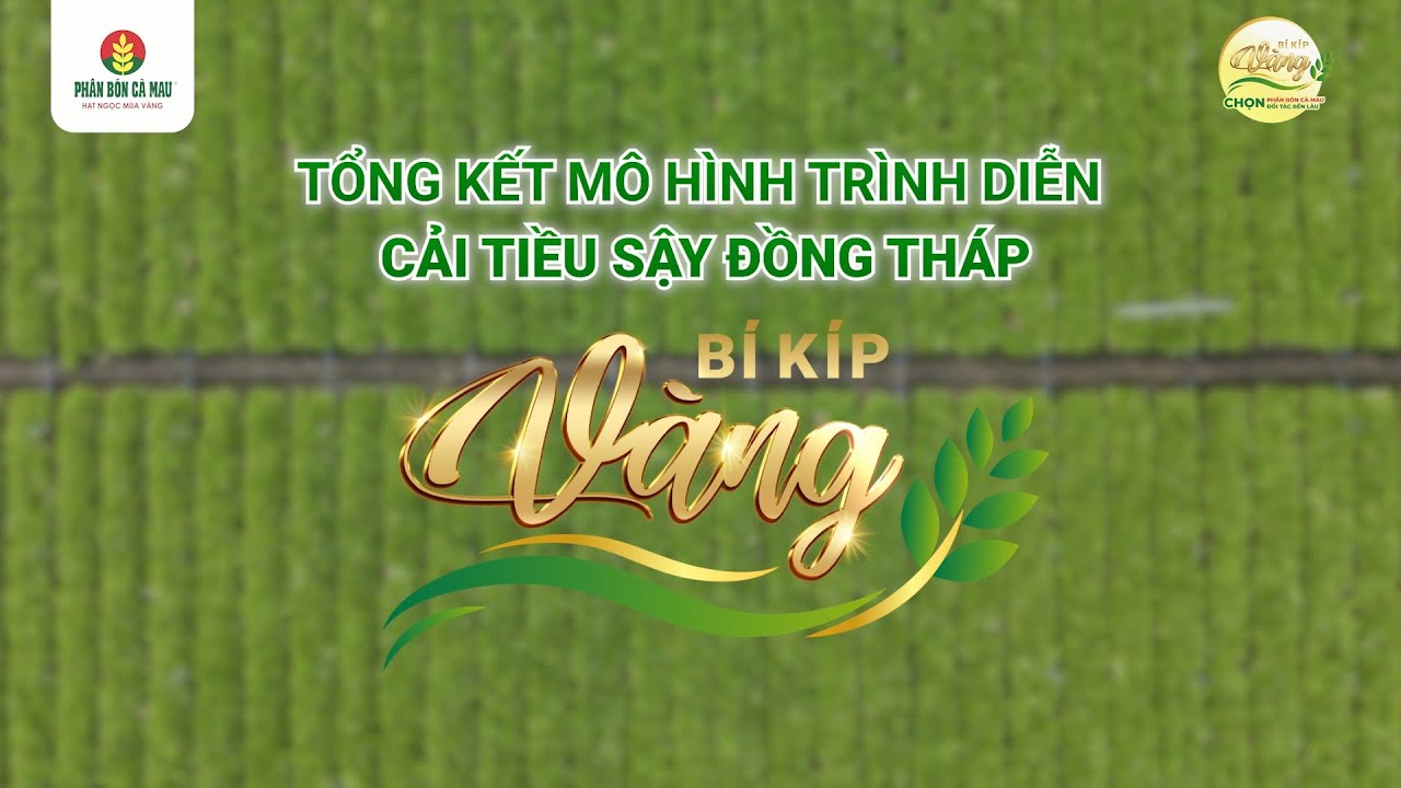 TỔNG KẾT MÔ HÌNH TRÌNH DIỄN CẢI TIỀU SẬY: MÙA VÀNG THỊNH VƯỢNG, NĂNG SUẤT ẤN TƯỢNG ✨