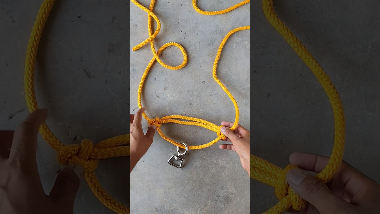 How to make a rope halter #halter #mohri #मोहरी