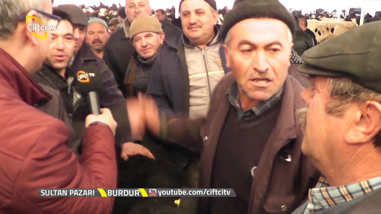 Sultan Pazarı-Pazarlıklar Şahane Burdur Canlı Hayvan Pazarı 2017