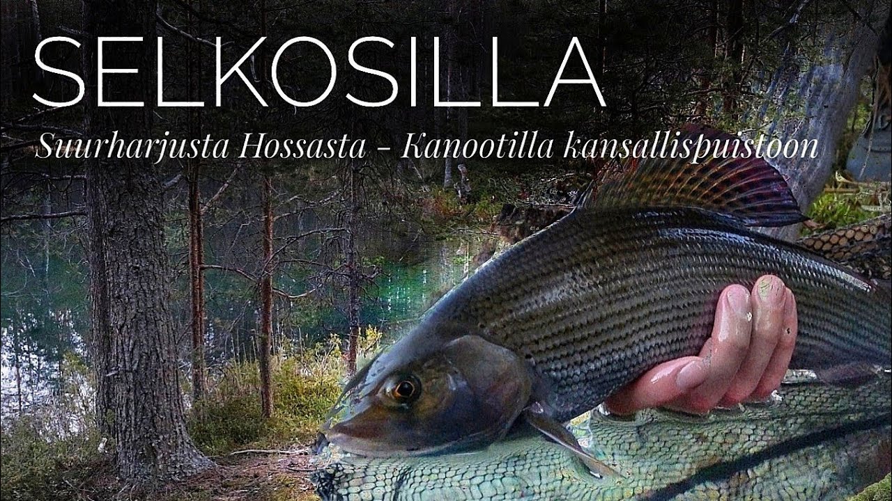 Suurharjusta Hossasta - Kanootilla kansallispuistoon | Selkosilla