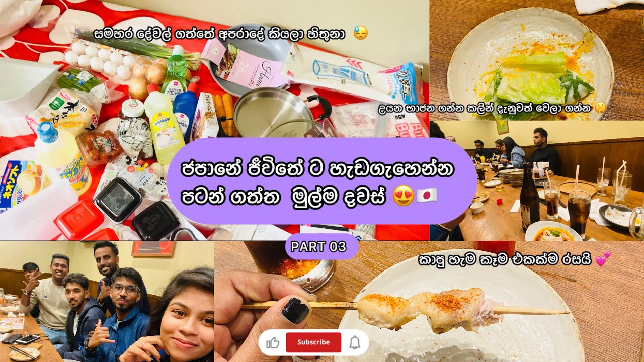 අවුරුදු 2ක් මහන්සි වෙලා මග බලන් හිටපු මගේ ලස්සනම හීනෙට ගියපු විදිය PART 3 | JAPAN | STUDENT VISA 🥺🇯🇵