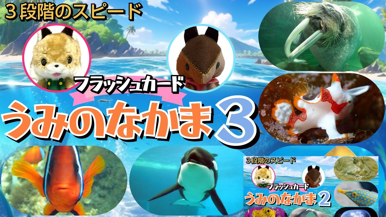 【フラッシュカード】くり返しておぼえる♪ひらがなで「うみの なかま３」