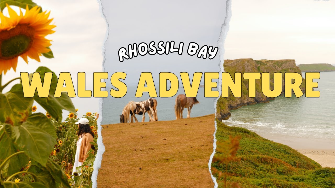Wales Adventure | One day at Rhossili Bay, Wales and Sunflowers, Wales Beach