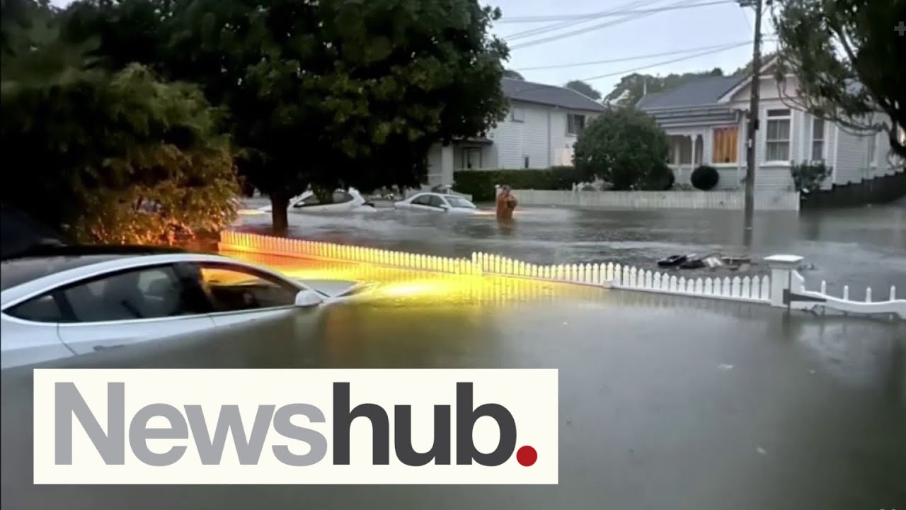 Insurance nightmare as thousands of Auckland homes to be assessed after floods | Newshub