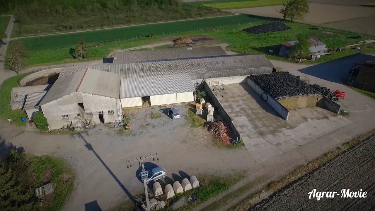 CAT TH407C // Emily Melodis // Cow feeding // Farm