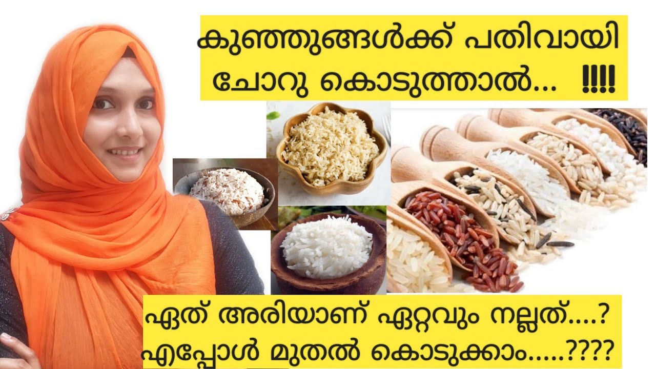 Rice for Babies | Which Rice is Best for Babies  Izans World  Malayalam