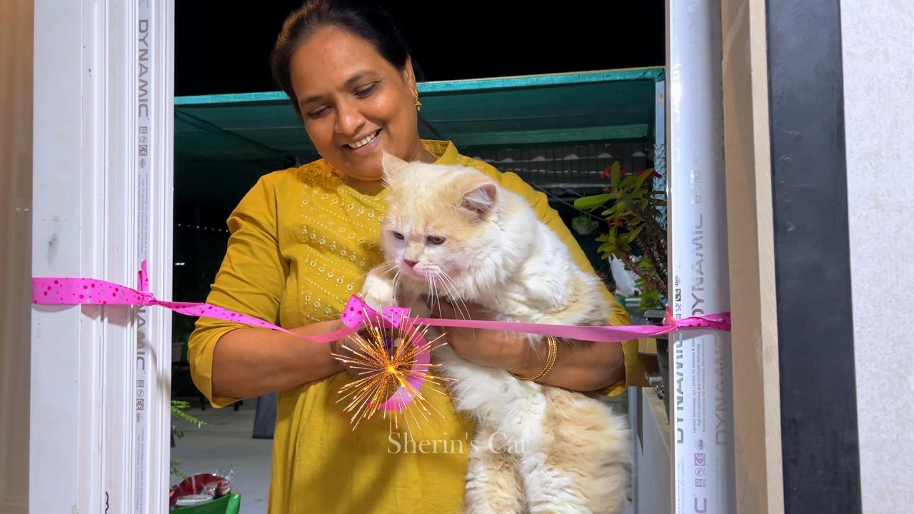 Shasha's New Home