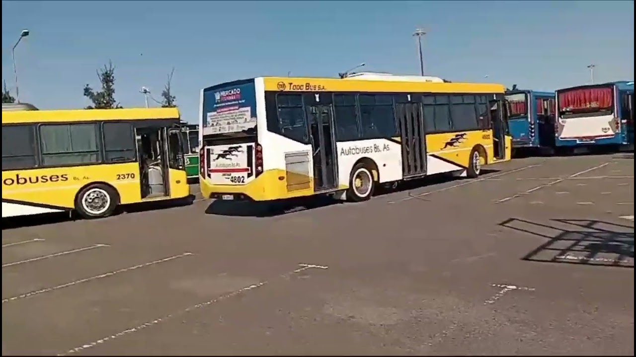 [EXPO] entrada de grupo autobuses