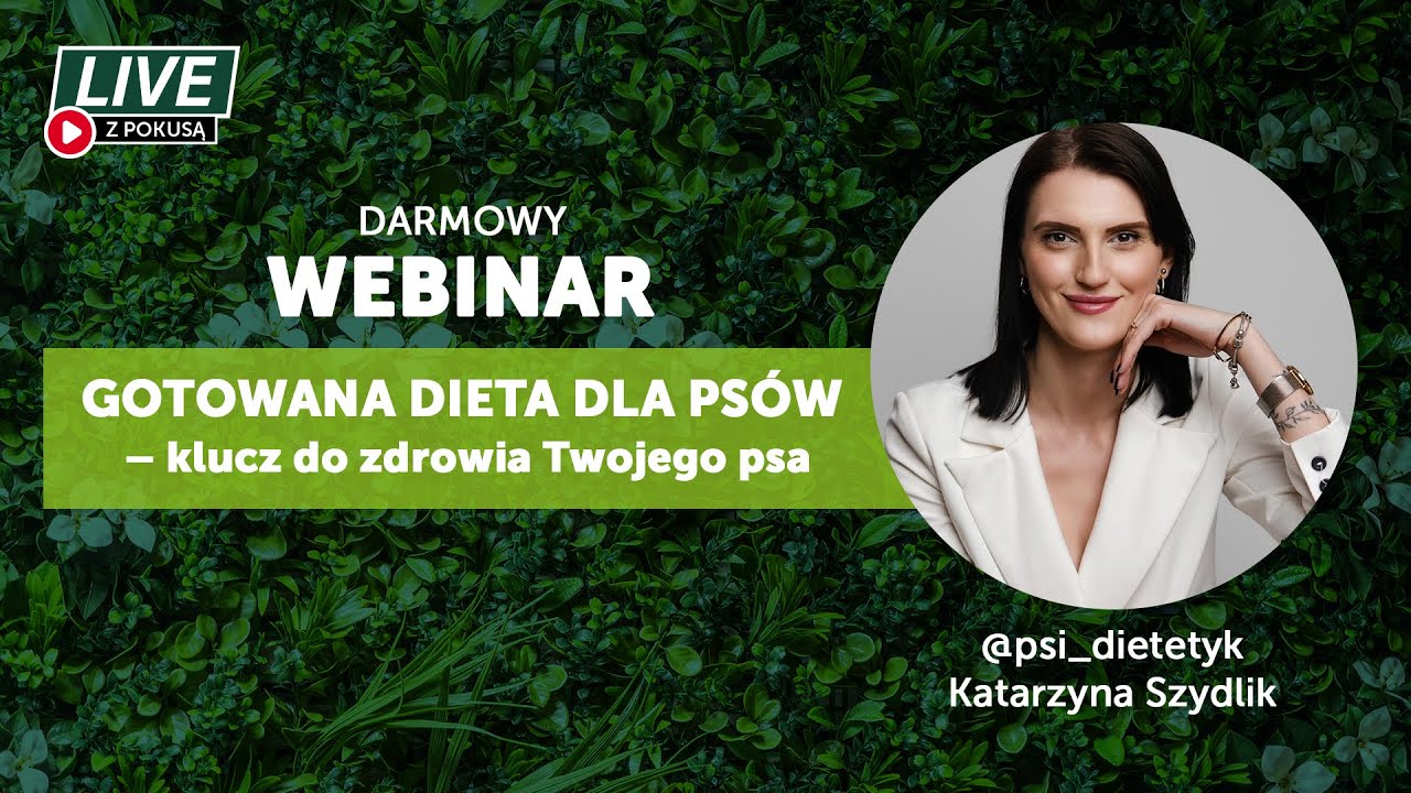 Gotowana dieta dla psów – klucz do zdrowia Twojego pupila
