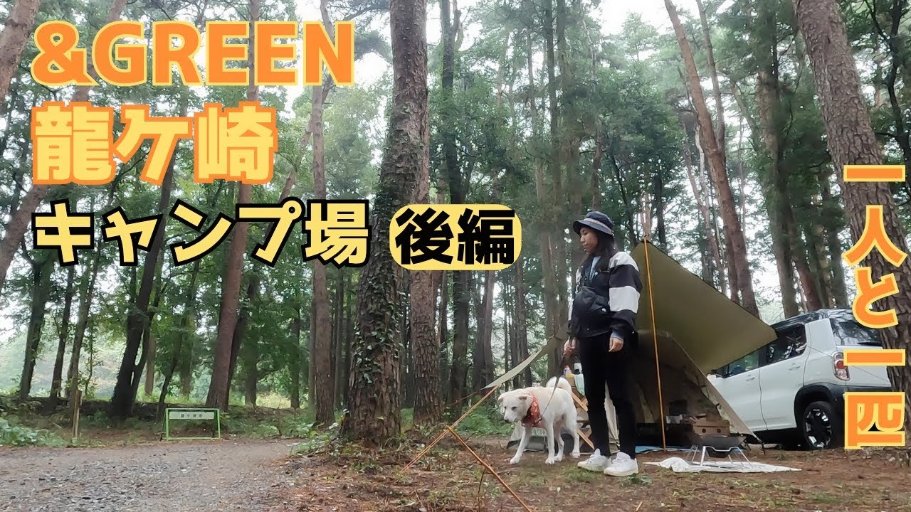 【＆GREEN龍ケ崎キャンプ場後編】ほれぼれ牛のお味に惚れ惚れ、雨の日も居酒屋開店！【一人と一匹】