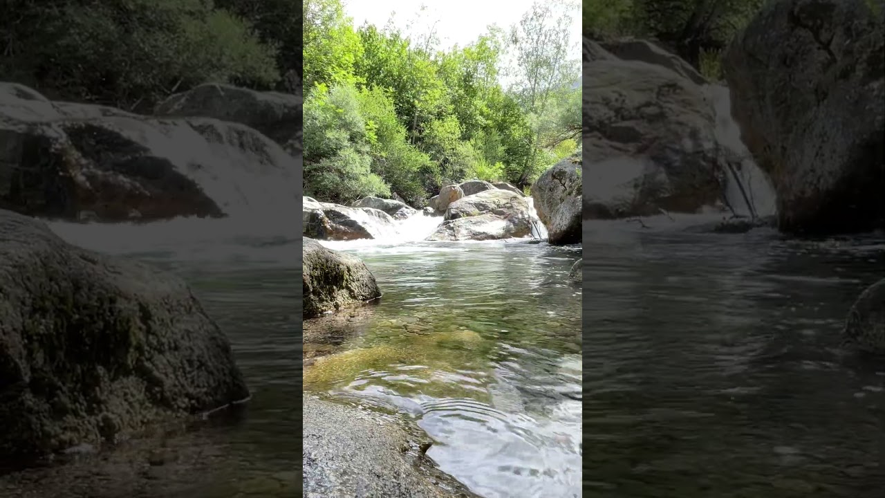 Whispers of the river #nature #calmriver