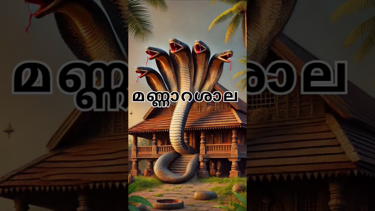 മണ്ണാറശാലയിലെ നാഗരാജാവിന്റെ കഥ അറിയുമോ #shortvideo #shorts #viralvideo #trending