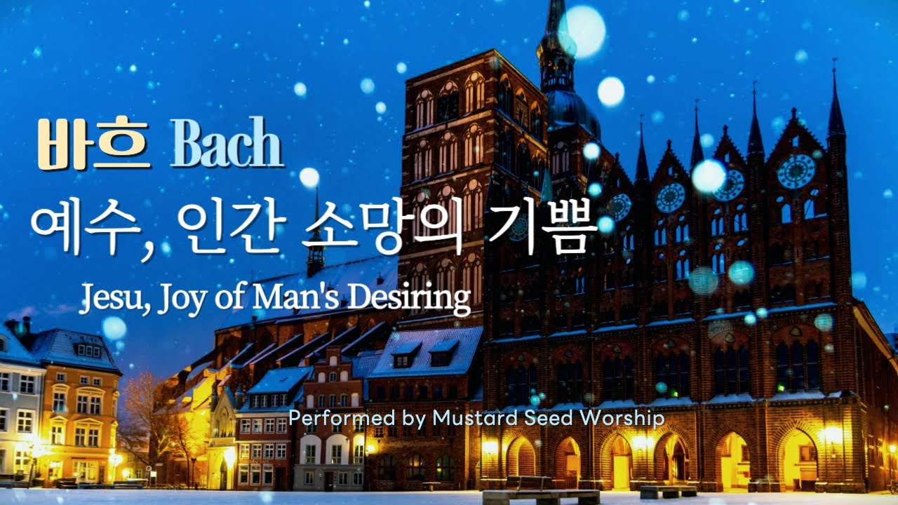 [겨울풍경 1시간] 바흐 (J.S.Bach) - 예수, 인간 소망의 기쁨 (Jesu, Joy of Man's Desiring / BWV 147) Piano & Instrument