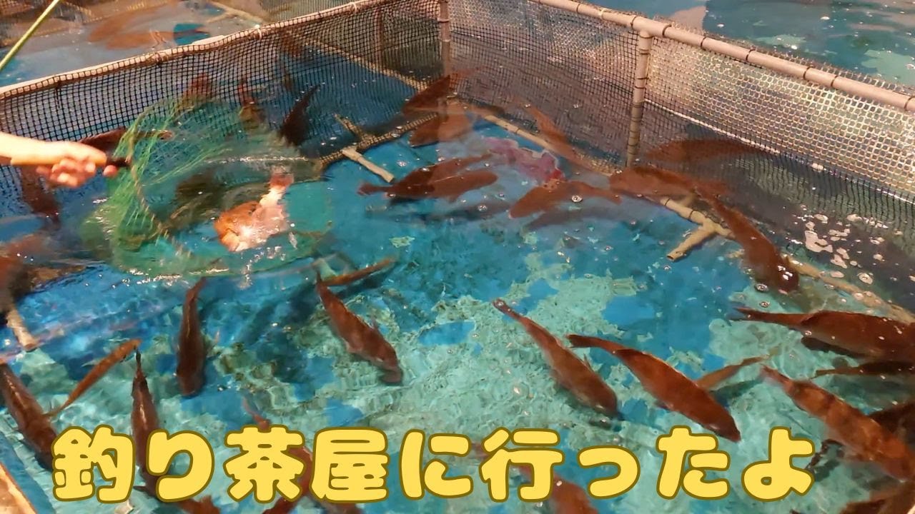 釣り居酒屋ざうおに行ったよ【I went to fishing izakaya Zauo.】