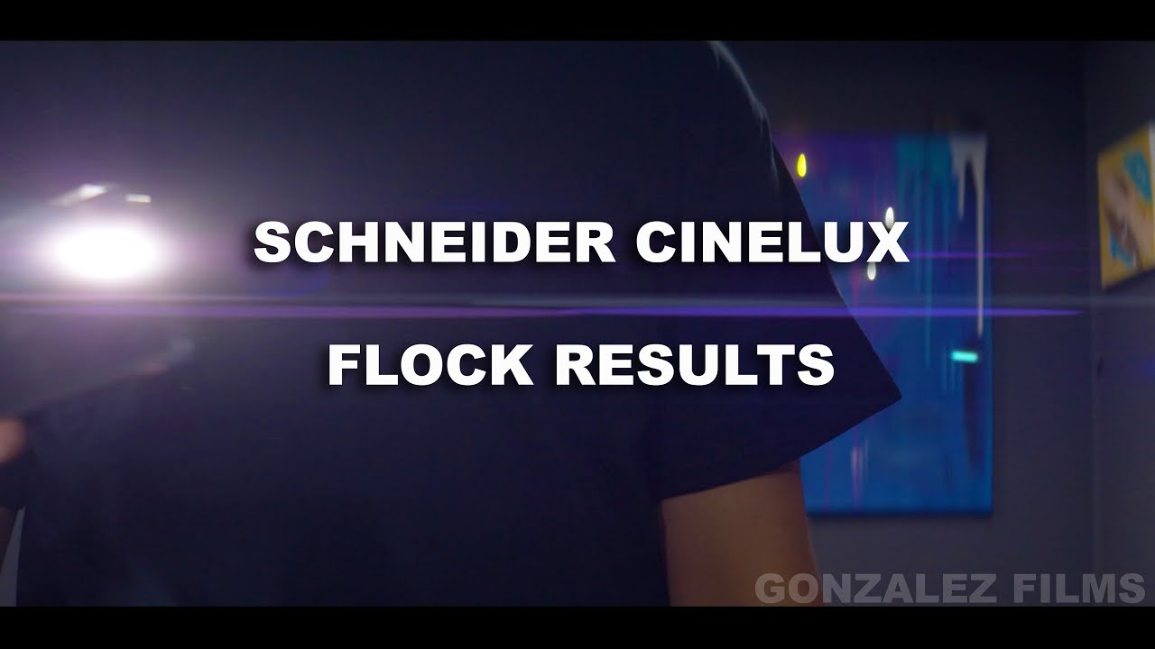 Schneider Cinelux Flock Results 2022 4k