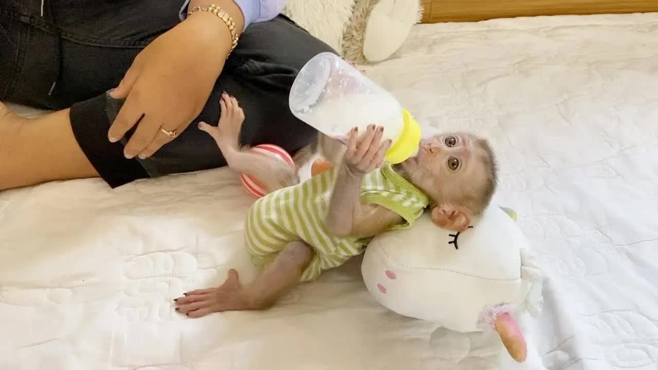 So Cute BB DAM One Hand Raise To Request A Bottle Milk
