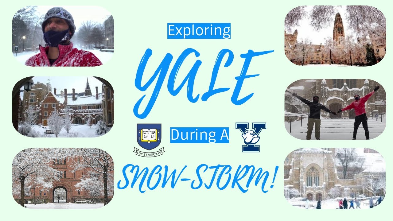 What is Yale Like During a Snow Storm? (hint: It's BEAUTIFUL)