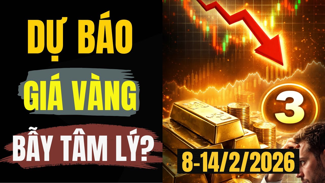 Dự báo giá vàng tuần 8–14/2/2026: Đà tăng “khó chịu” và bẫy tâm lý vùng giá cao| BÍ MẬT TRIỆU ĐÔ