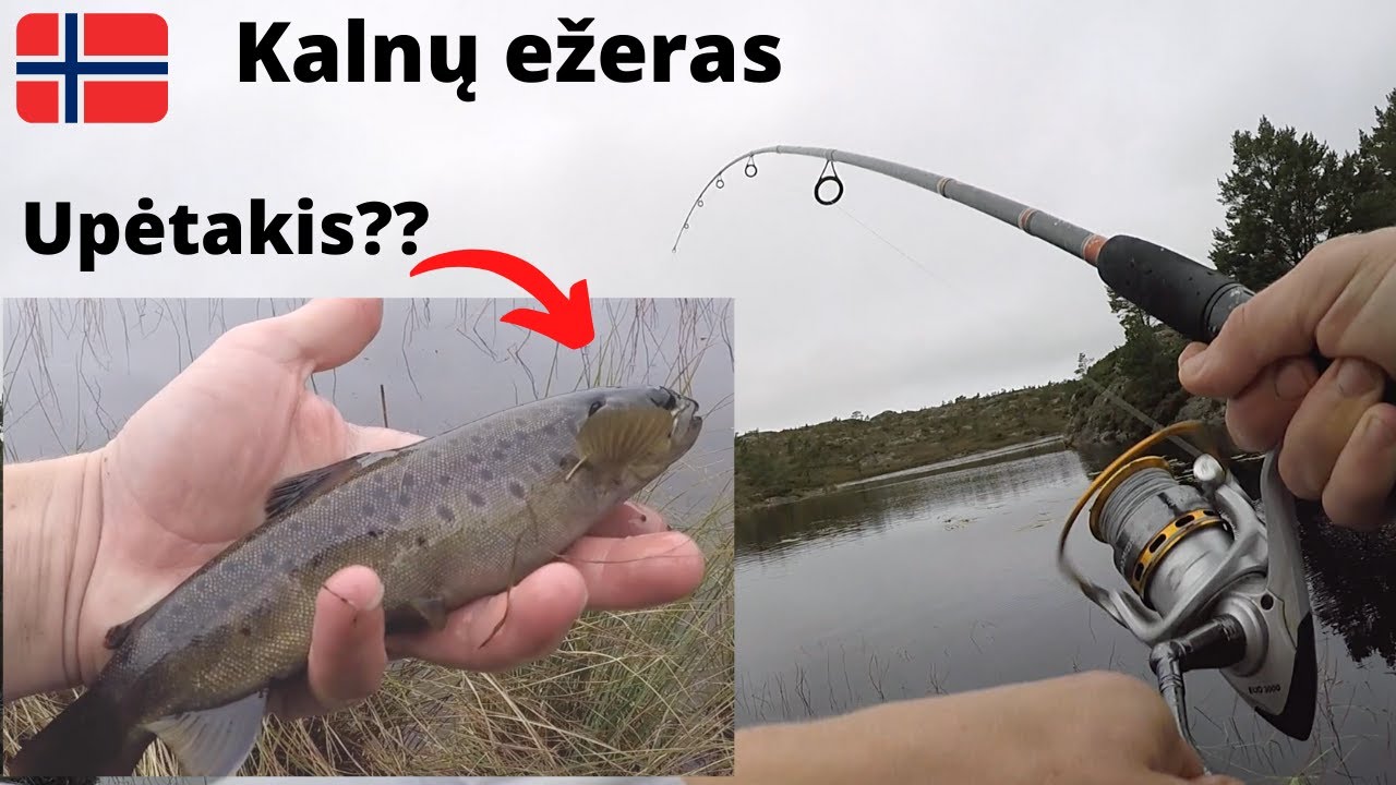 Upėtakių žvejyba Norvegijos kalnų ežeriuke