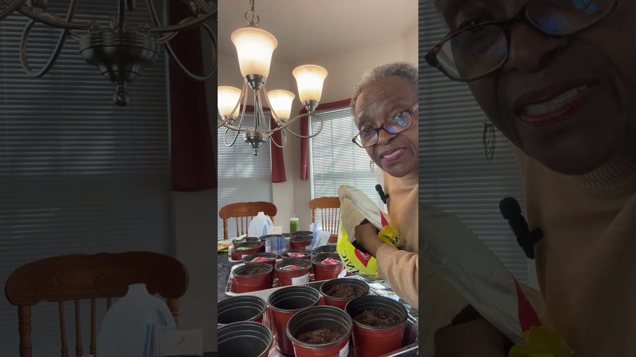 🍎 Grow Your Own Groceries; Transform Your Yard Into a Living Grocery Store