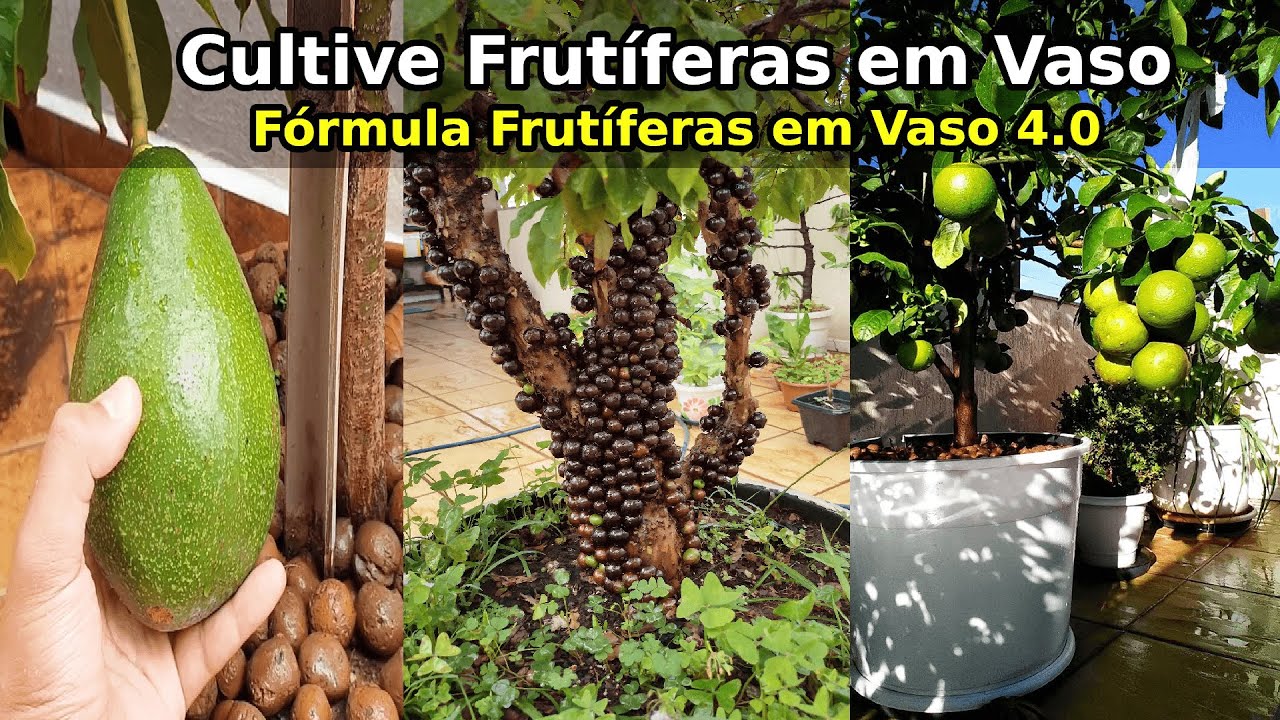 Como cultivar Frut&iacute;feras em Vaso | F&oacute;rmula Frut&iacute;feras em Vaso 5.0