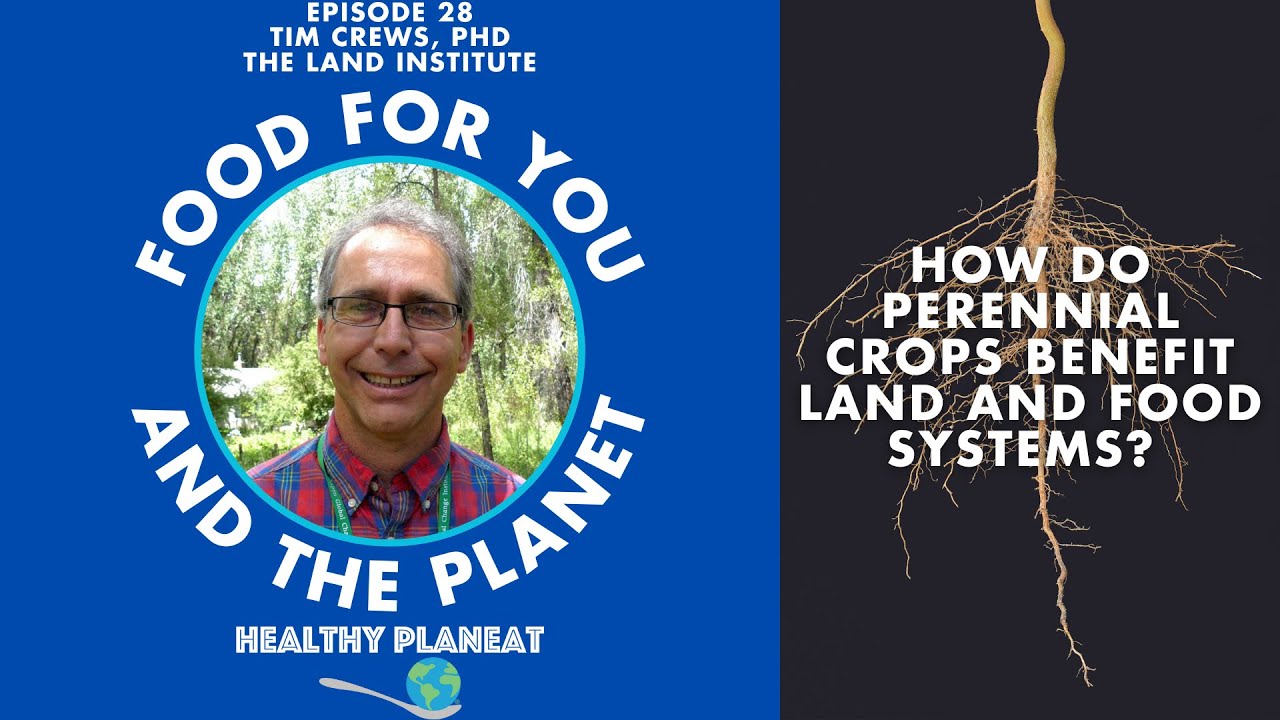 How Do Perennial Crops Benefit Land and Food Systems?