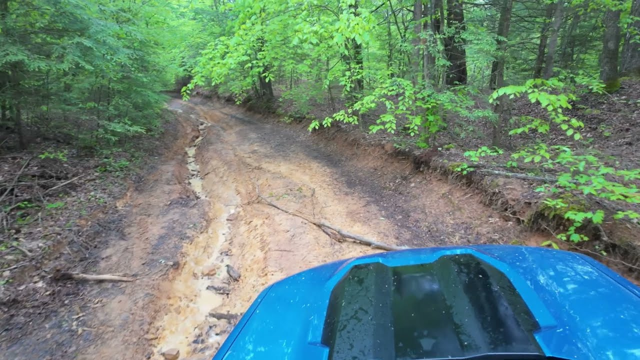 KAT - Wild Dog Creek Trail (High Water)