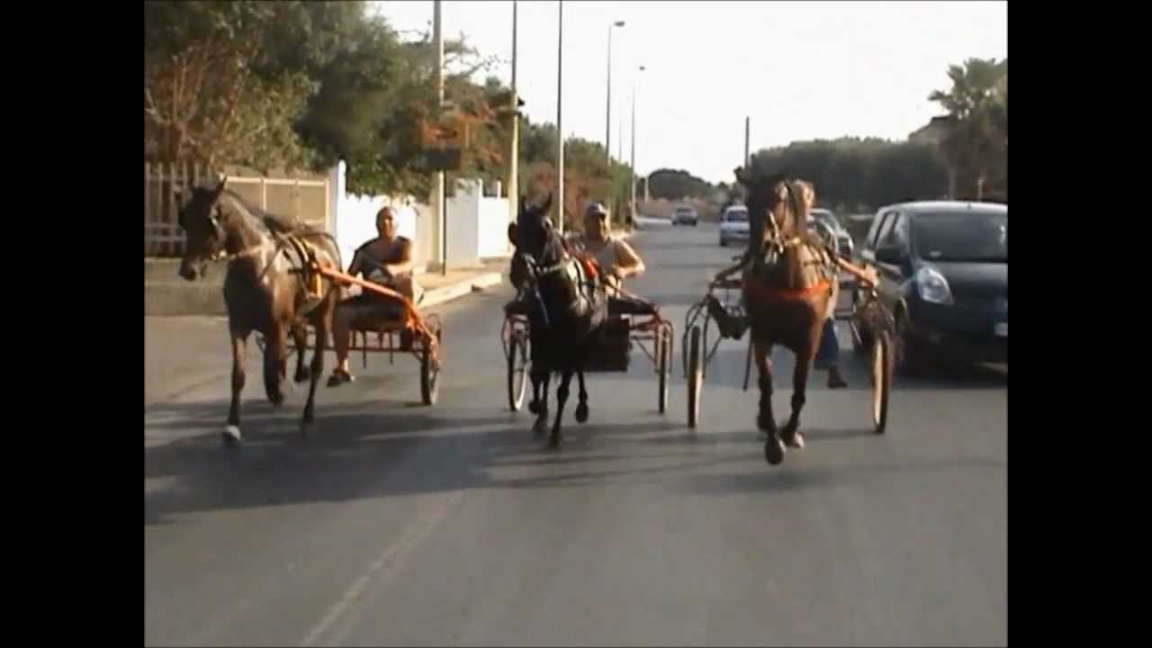 Minitrotter Trapani Scuderia Sorriso