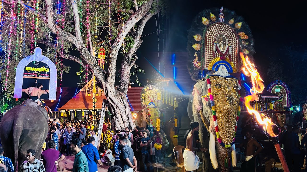മേളം #festivevibes #kerala #minivlog 