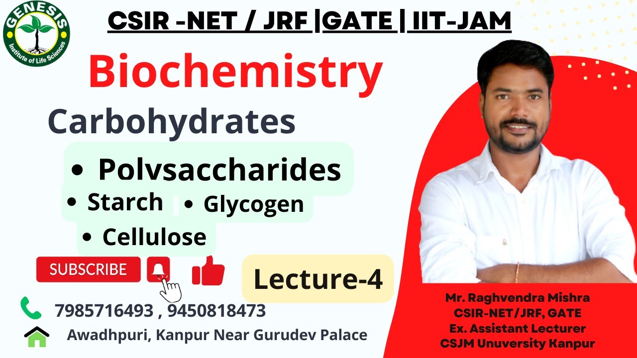 Carbohydrates | Polysaccharides | Starch | Glycogen | Cellulose | L-5 | Biomolecules | Biochemistry