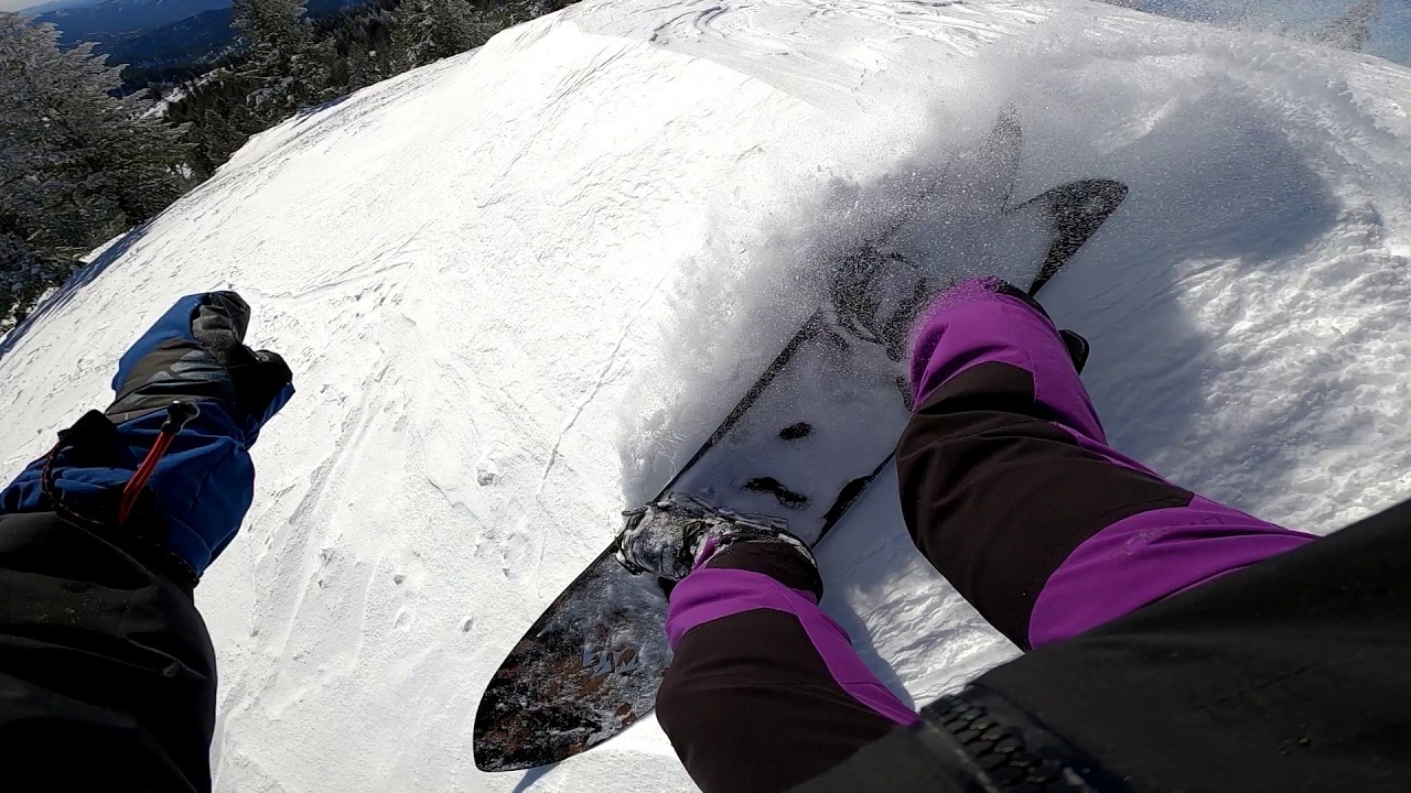 🐺 Lone Wolf Meets Bogus