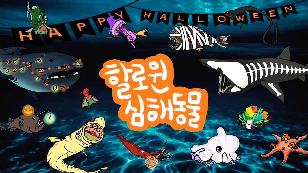 할로윈 심해동물 | 깊은 바닷속 심해동물 친구들이 소개해주는 할로윈 단어들을 만나보아요 | 신기한 심해동물 | 할로윈 바다동물 | 키즈드로우
