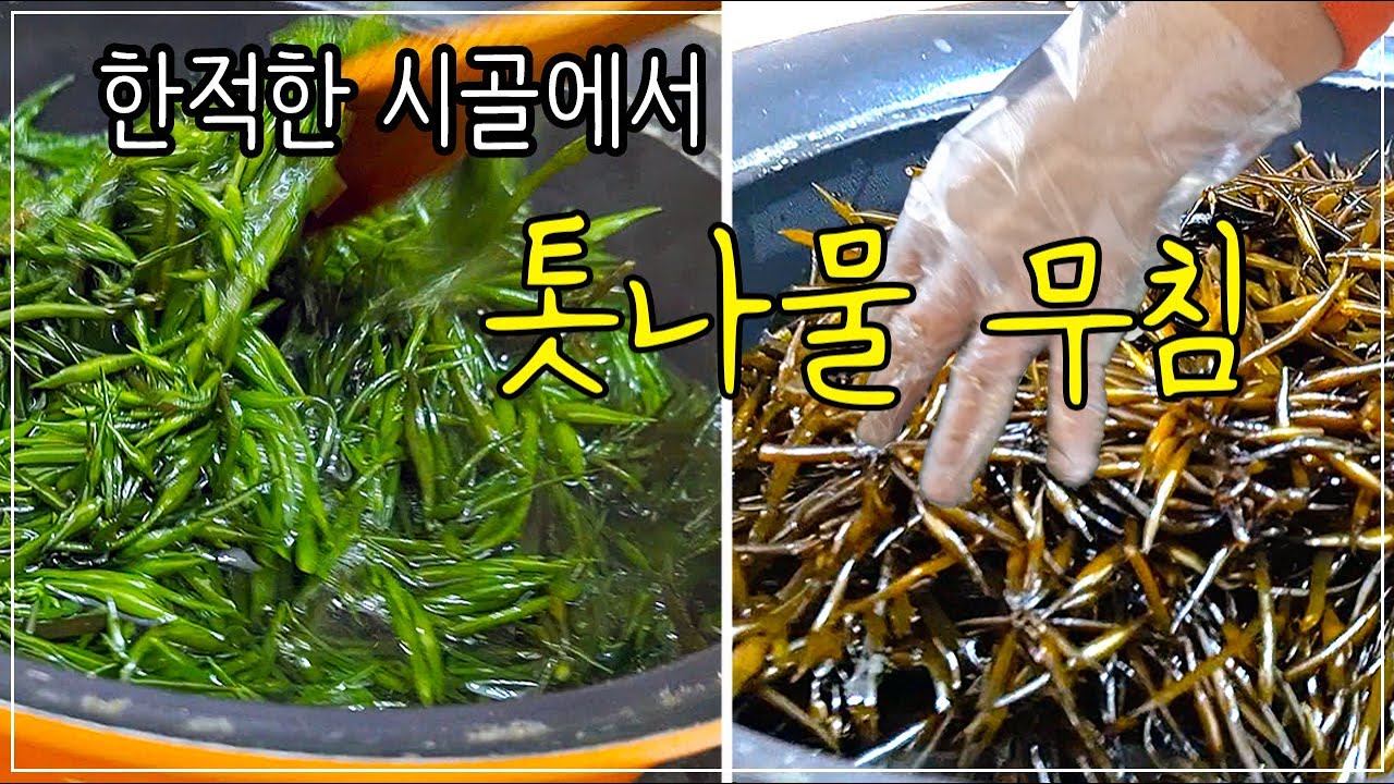 한적한 시골집 톳나물 무침 만들기 / 시골생활 일상 브이로그 / 야생파래무침/시골집 겨울, 시골밥상, 힐링 ASMR