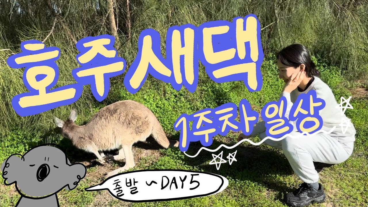 [SUB] 가출 1주차 근황