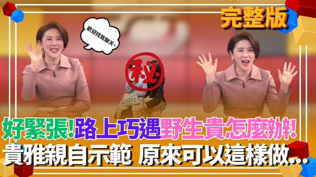捕獲野生貴貴！先不要緊張！本人親口揭密：別急著拍照！「這件事」更重要...【貴雅在客訴 完整版】20260316｜三立新聞台