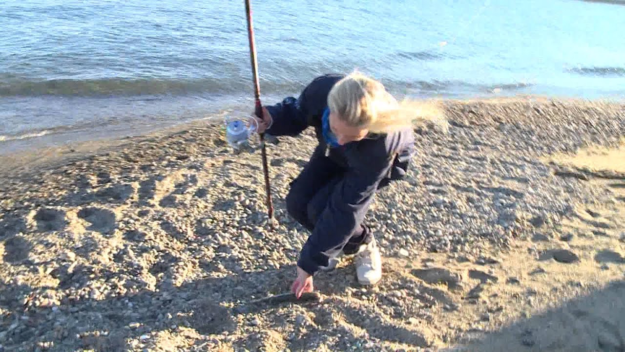 Italian Fishing TV - Colmic - Beach Ledgering