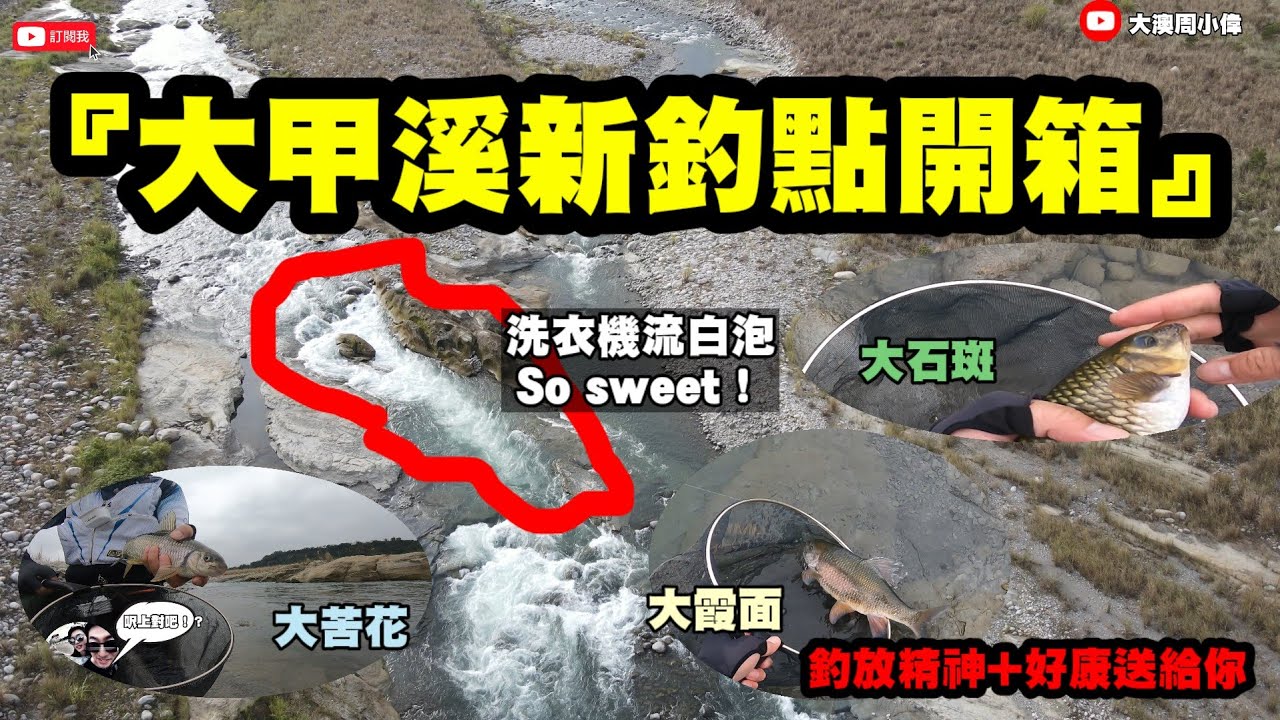 釣魚狂人4K紀錄片 新場探釣大甲溪！苦花大咬＋大霞現身｜野溪釣況實測霞面｜釣後放流支持起來！Stream Fishing Taiwan