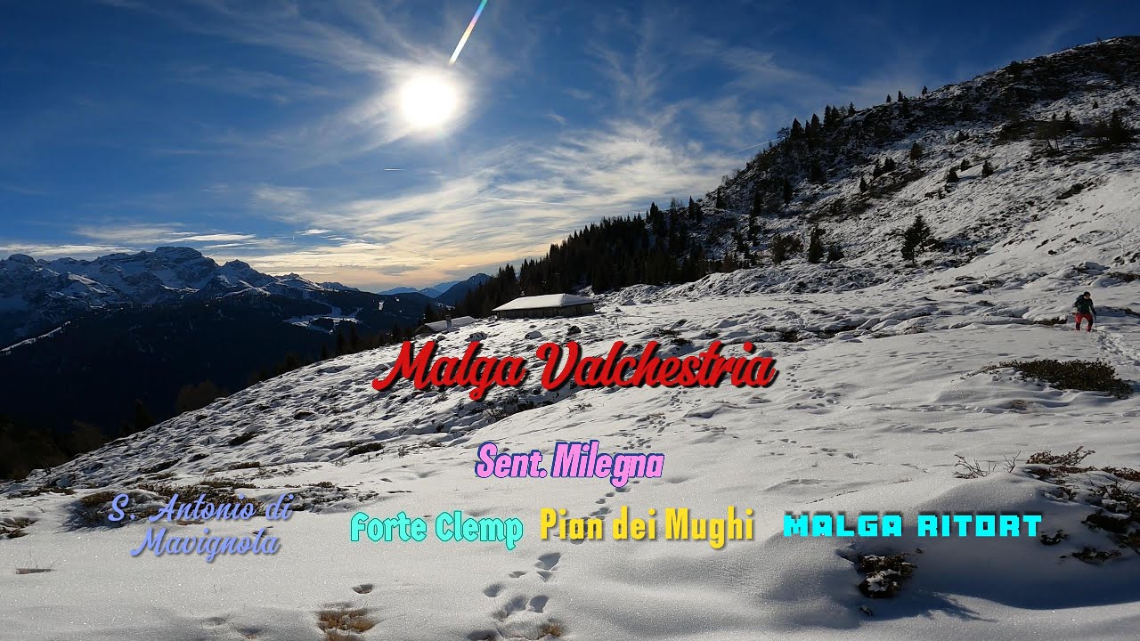 Malga Valchestria S. Antonio di Mavignola.