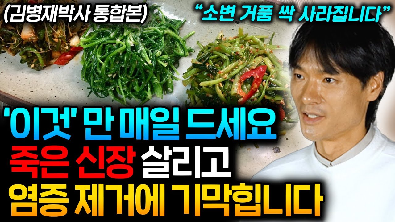 망가진 신장 '이걸' 꼭 드세요. 하버드대 의사들이 추천하는 단 '1가지' (김병재 박사 통합본)