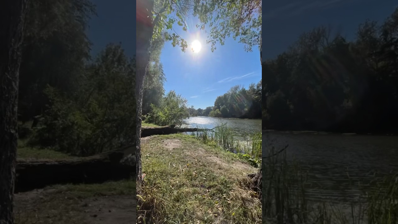 Золота осінь 😍