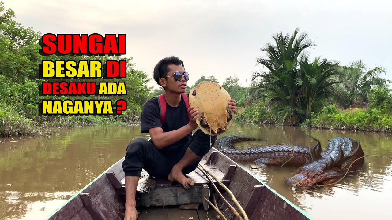 6 HARI CARI IKAN DAN MAKANAN DI HUTAN PINGGIR DESAKU NIKMATNYA TINGGAL DI DESA😅 